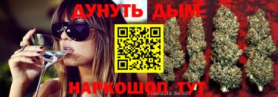 стафф Волгодонск